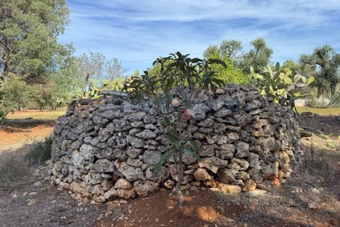 Helårsgrund i Carovigno, Brindisi, Carovigno - € 68.000 | Ref: 122778 - foto 11